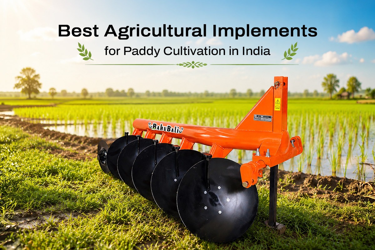 You are currently viewing Best Agricultural Implements for Paddy Cultivation in India